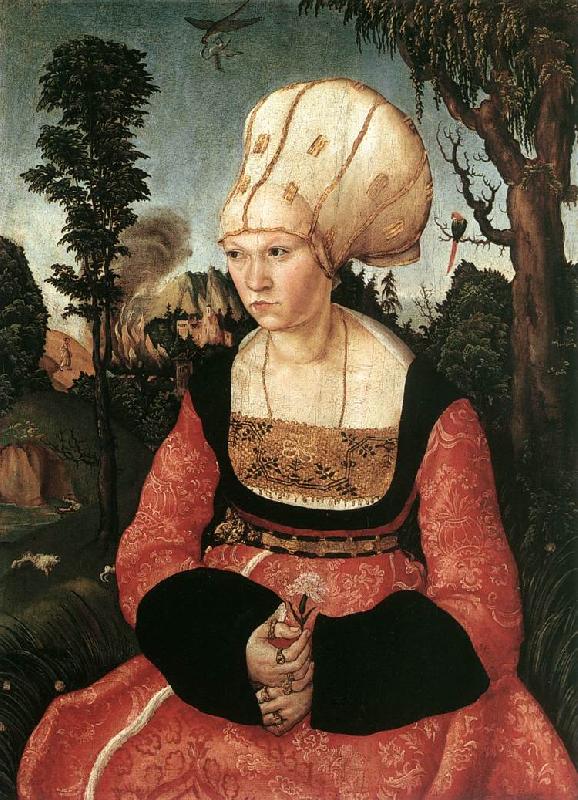 CRANACH, Lucas the Elder Portrait of Anna Cuspinian dfg